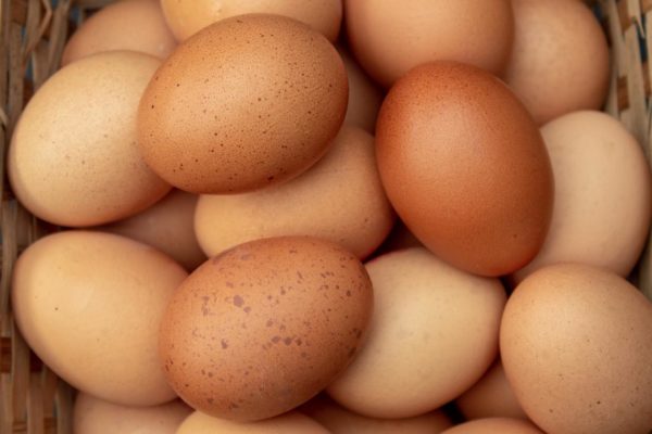 Chicken Eggs