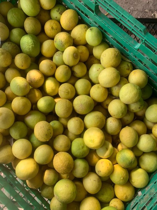 Lime